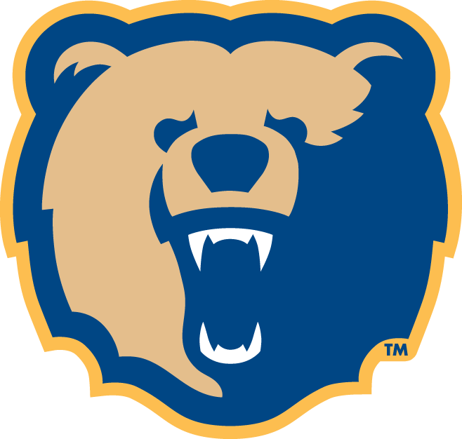 Morgan State Bears 2002-Pres Secondary Logo t shirts iron on transfers